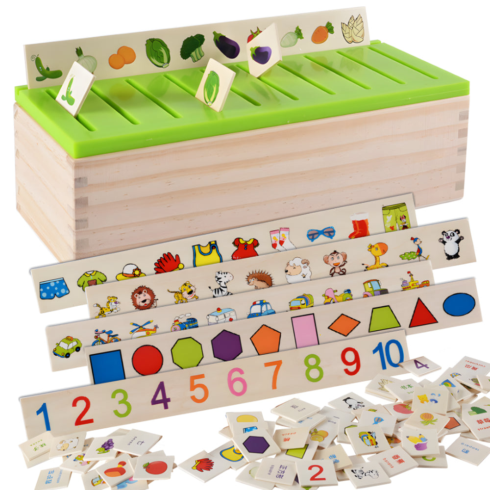 Wooden Color and Shape Sorting Toy