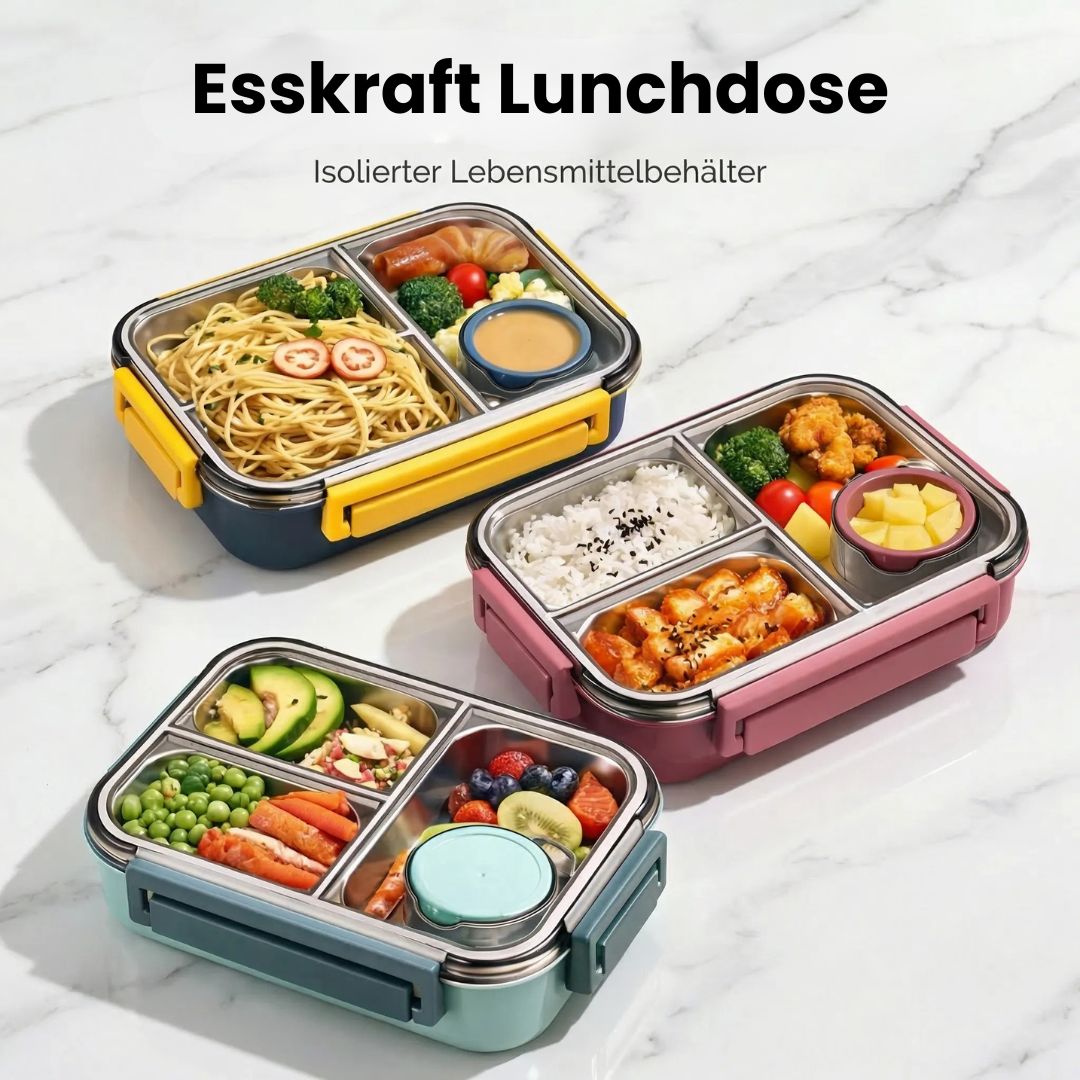 Stainless Steel Compartment Lunch Box - Esilora