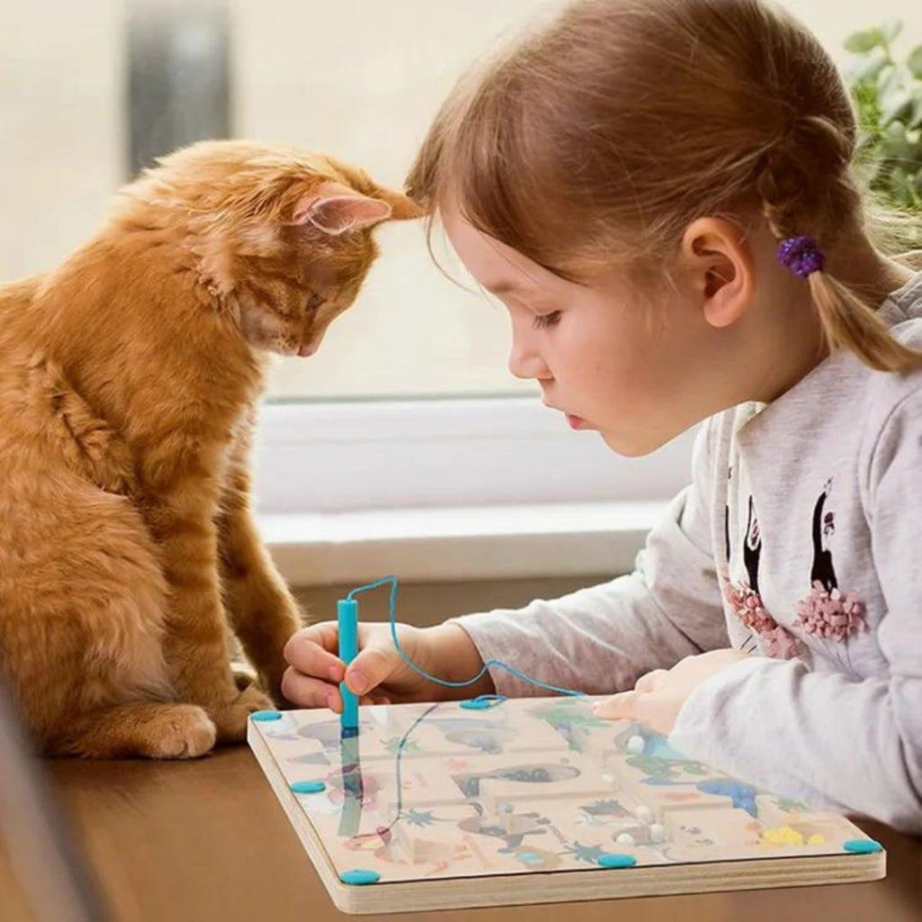 Interaktives Dinosaurier-Lernspiel mit Labyrinth und Magnetstift