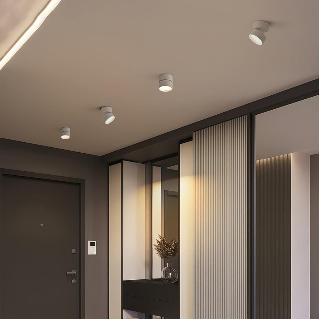 Lampă de tavan LED modernă, rotundă – lumină alb cald 3000K, aluminiu cu profil redus