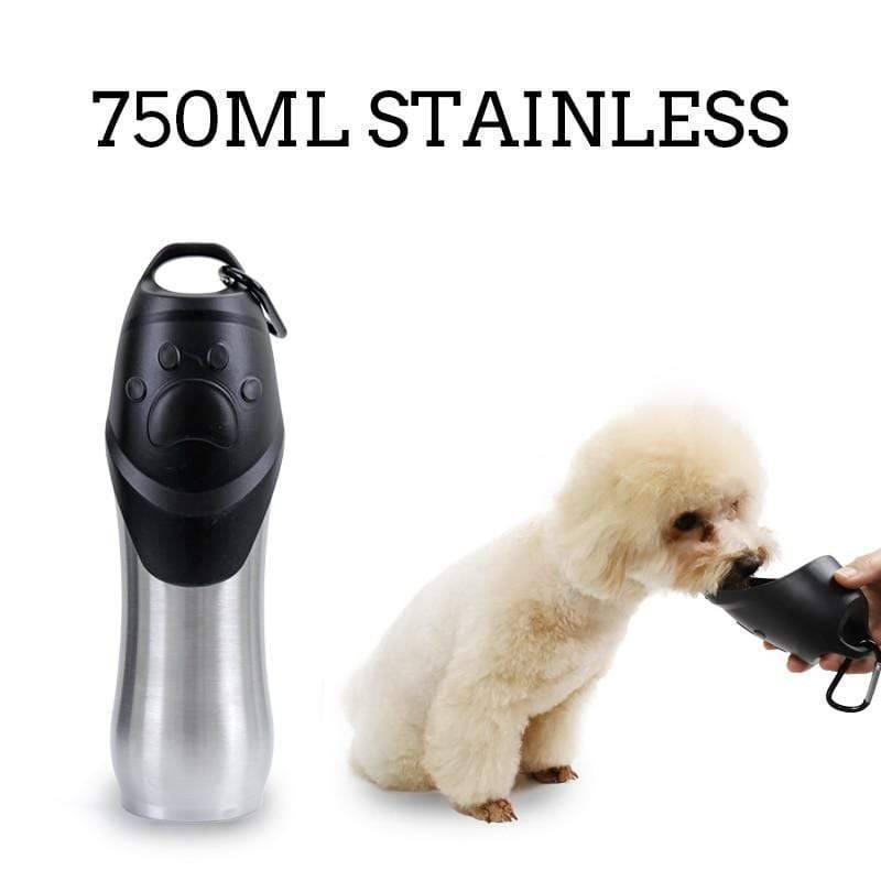 Outdoor Pet Water Bottle in Portable Stainless Steel - Esilora