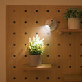 Dimmable LED Wall Light — Wireless Remote Control and Adjustable Aim