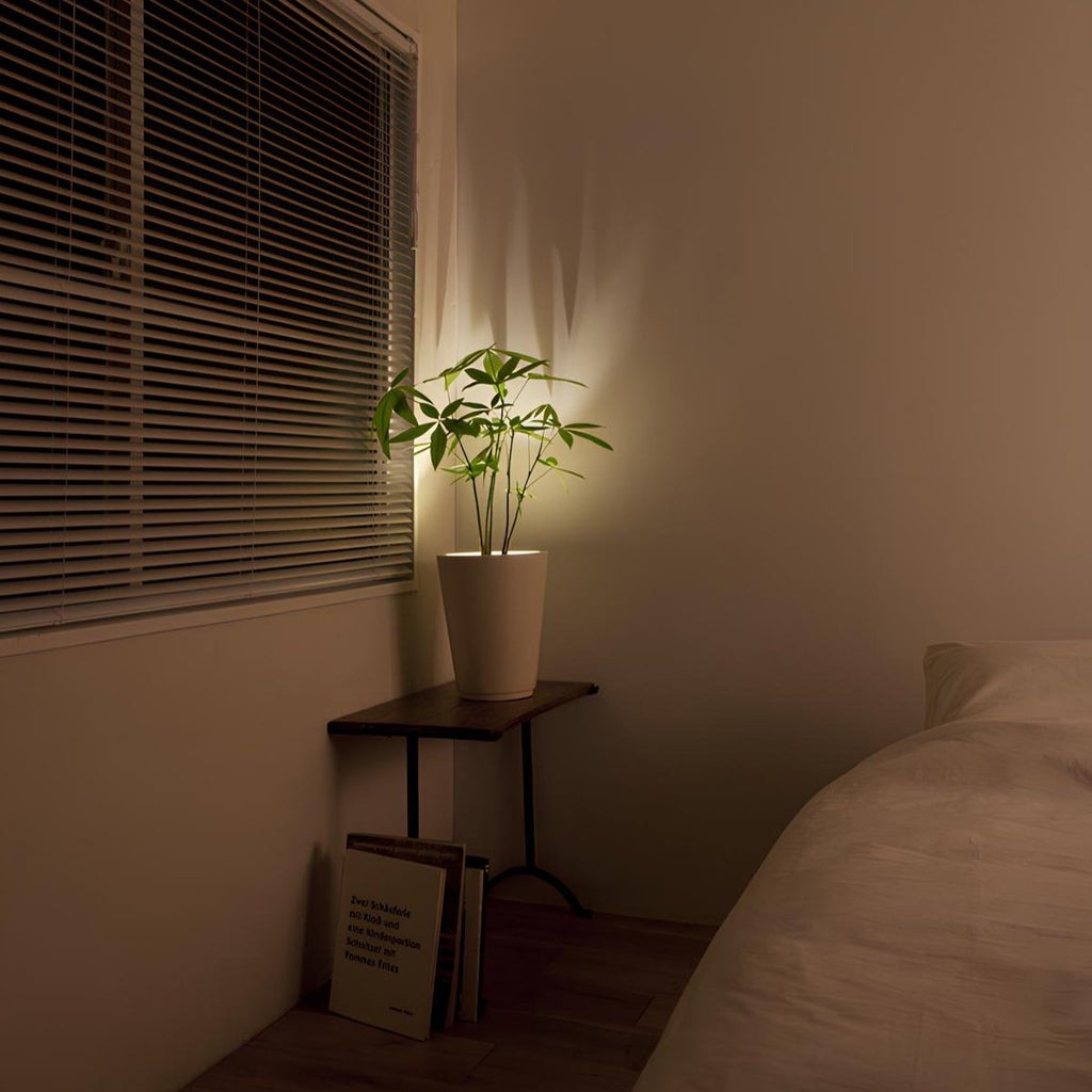 Dimmable LED Wall Light — Wireless Remote Control and Adjustable Aim
