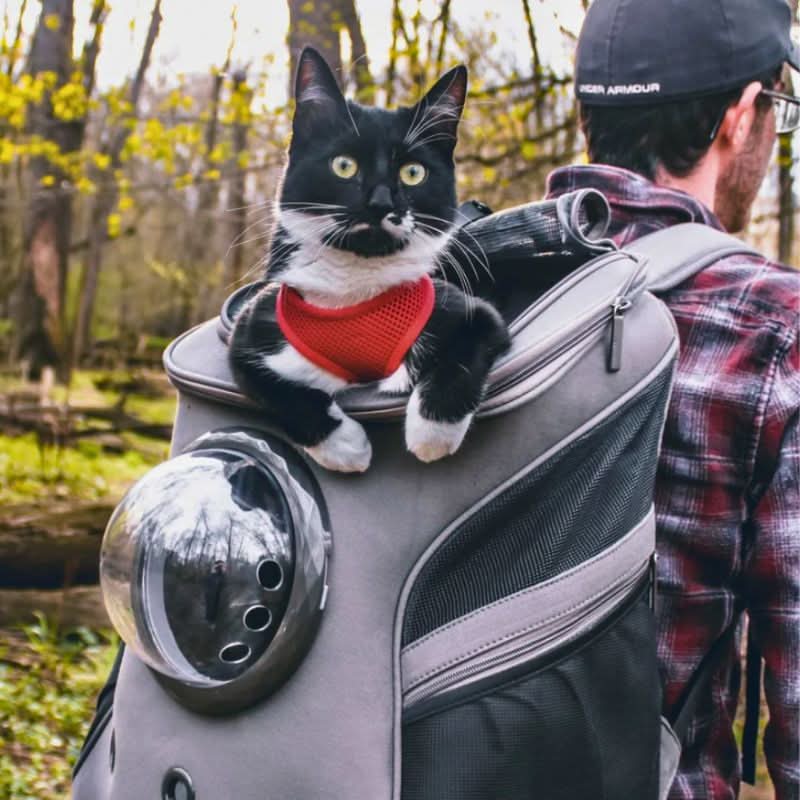 AuroraPaws Cat Travel Bag With Panoramic Window For Safe Foldable Comfort