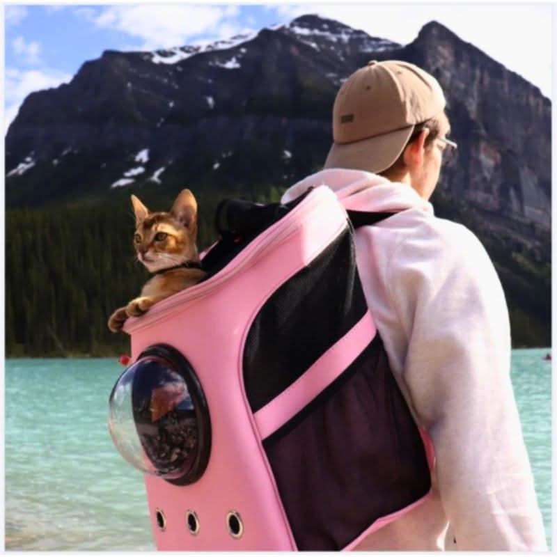 AuroraPaws Cat Travel Bag With Panoramic Window For Safe Foldable Comfort