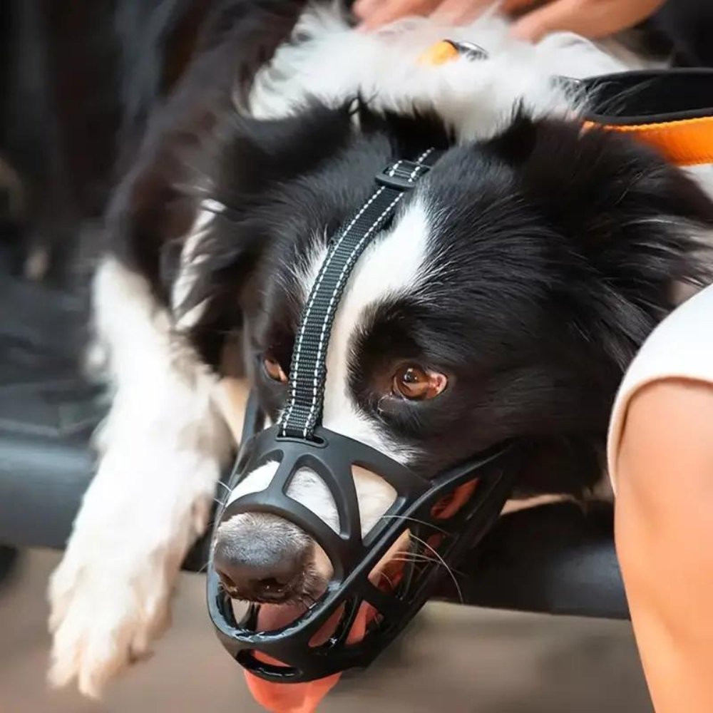 Bozal GentlePaws Pro para perros, para un manejo seguro diario