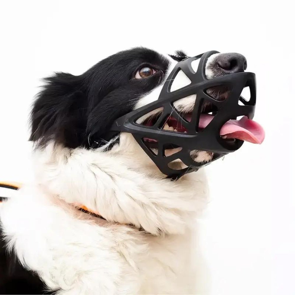 Bozal GentlePaws Pro para perros, para un manejo seguro diario
