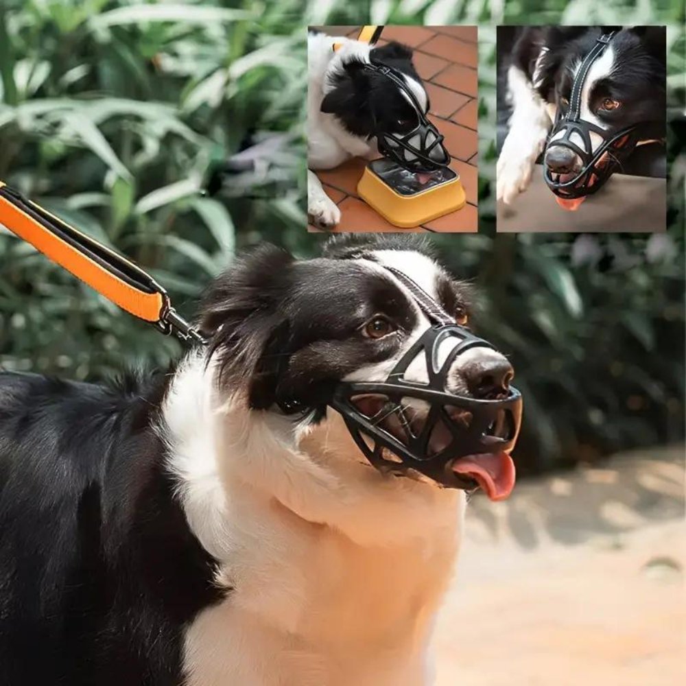 Bozal GentlePaws Pro para perros, para un manejo seguro diario