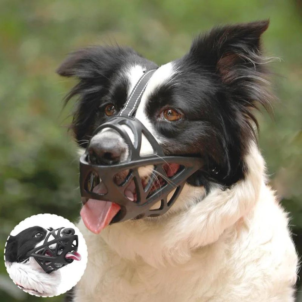 Bozal GentlePaws Pro para perros, para un manejo seguro diario