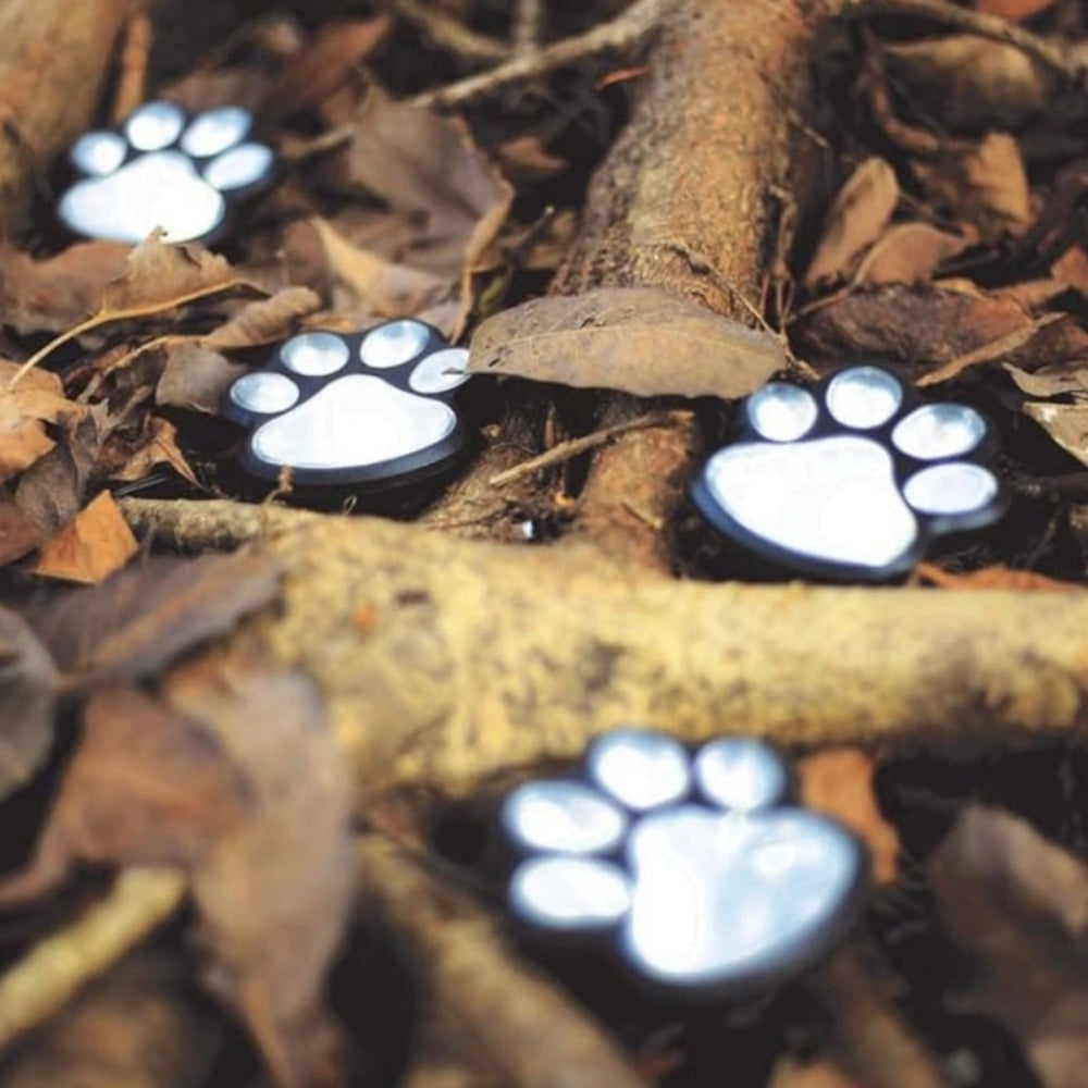 Luzes solares de jardim com pegadas