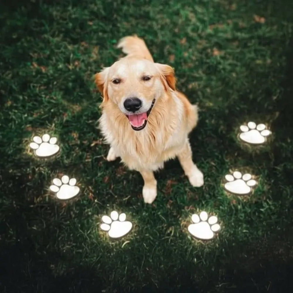 Luzes solares de jardim com pegadas