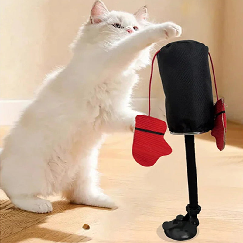 PawPunch Pro - Cutie de distracție plină de energie pentru pisici - Esilora