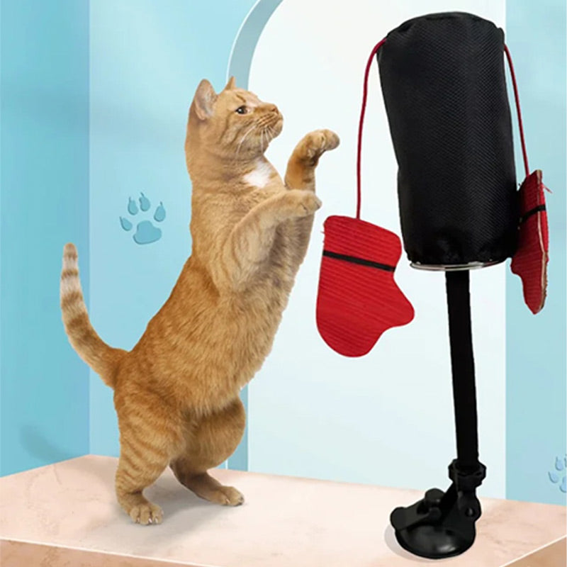 PawPunch Pro - Cutie de distracție plină de energie pentru pisici - Esilora