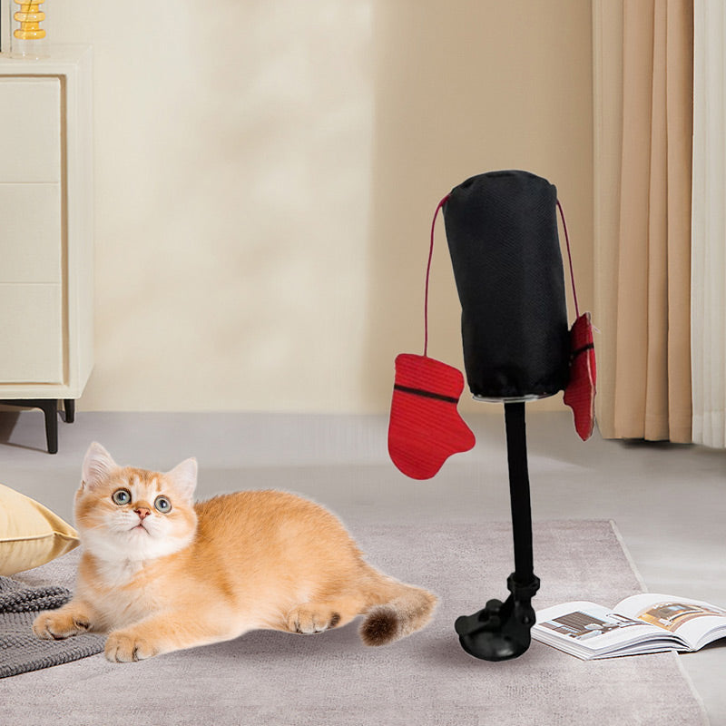 PawPunch Pro - Cutie de distracție plină de energie pentru pisici - Esilora
