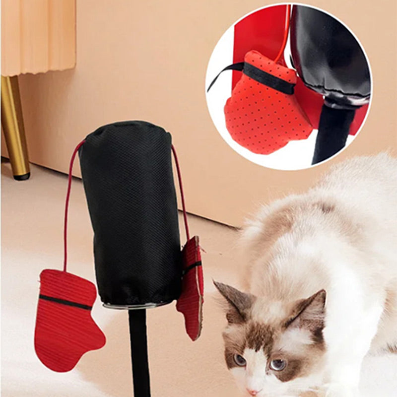 PawPunch Pro - Cutie de distracție plină de energie pentru pisici - Esilora
