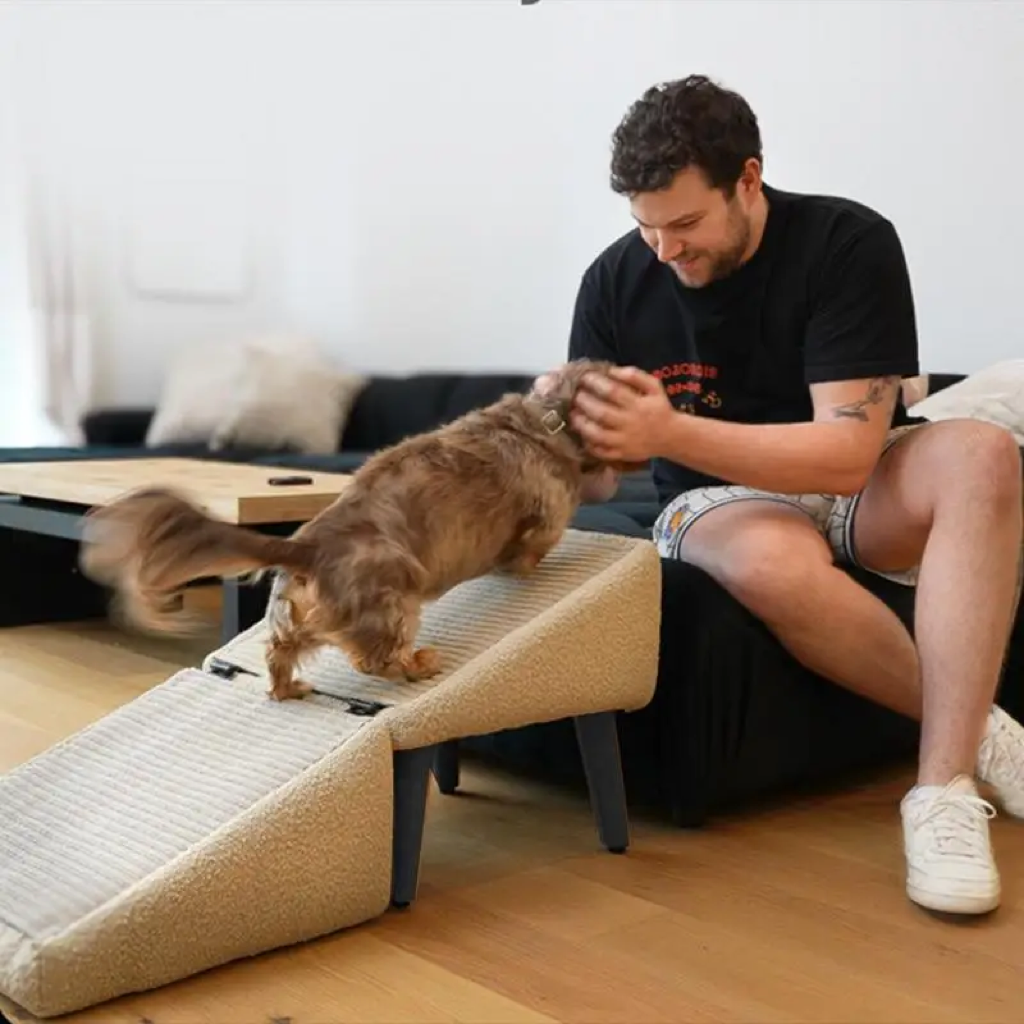 2-in-1 Split Ottoman Dog Ramp for Couch, Bed, Car & Cats