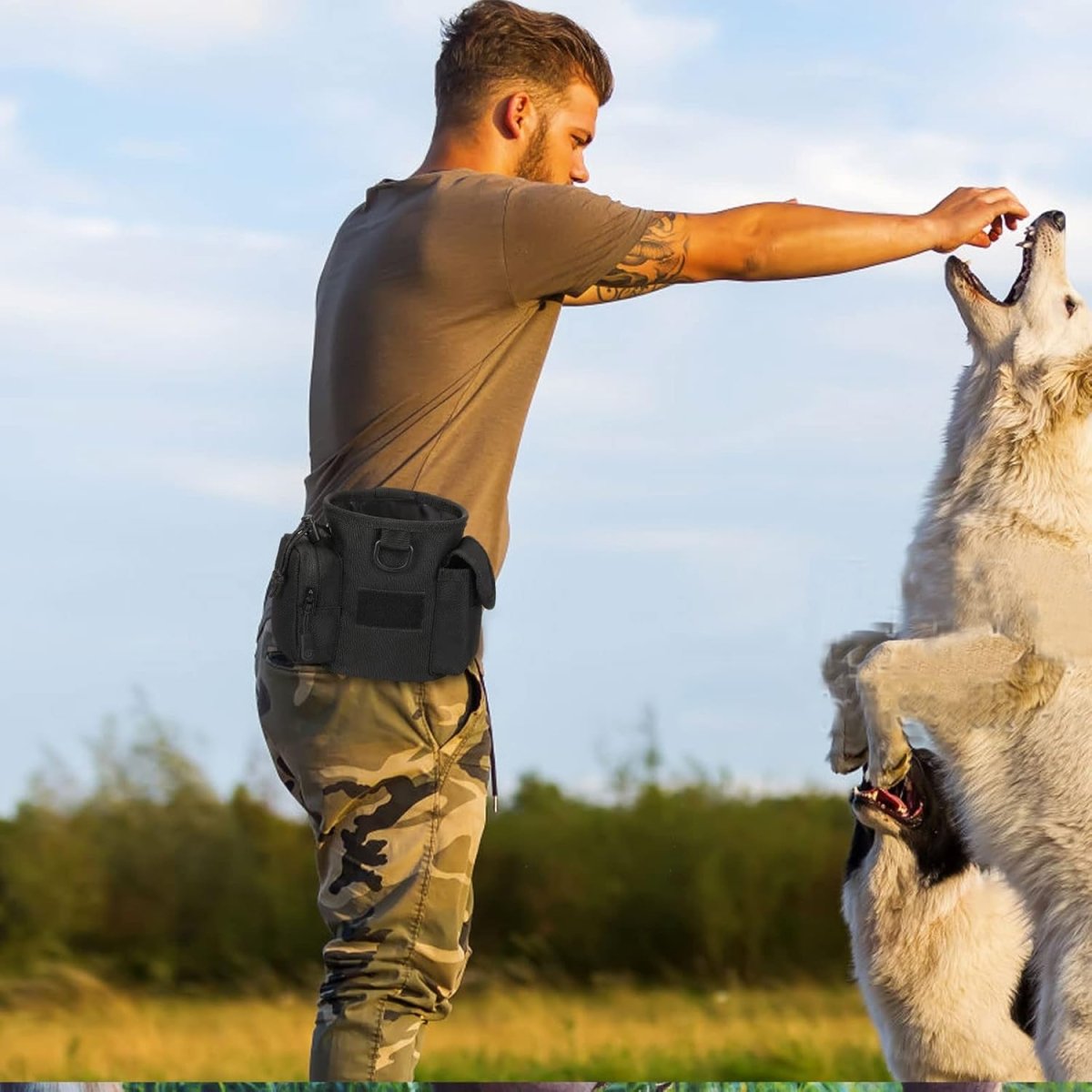 FieldQuest Dog Treat Pouch For Trainers And Walkers