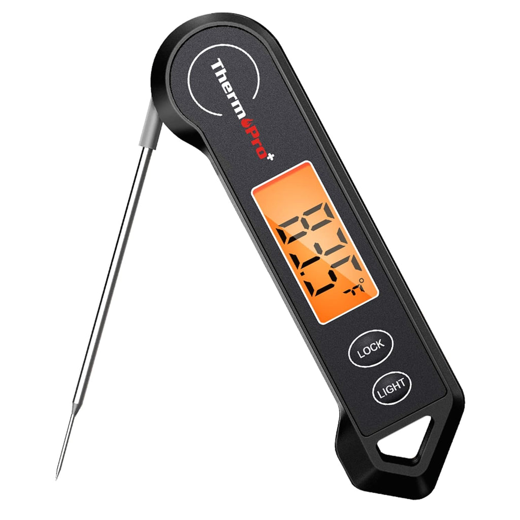 Precision Cooking Temperature Meter for Culinary Use - Esilora