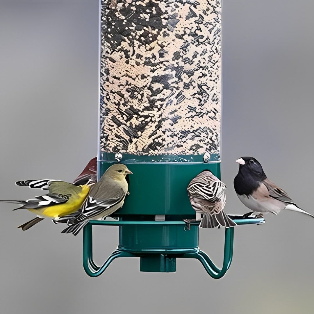 Weight-Activated Rodent Proof Bird Feeder