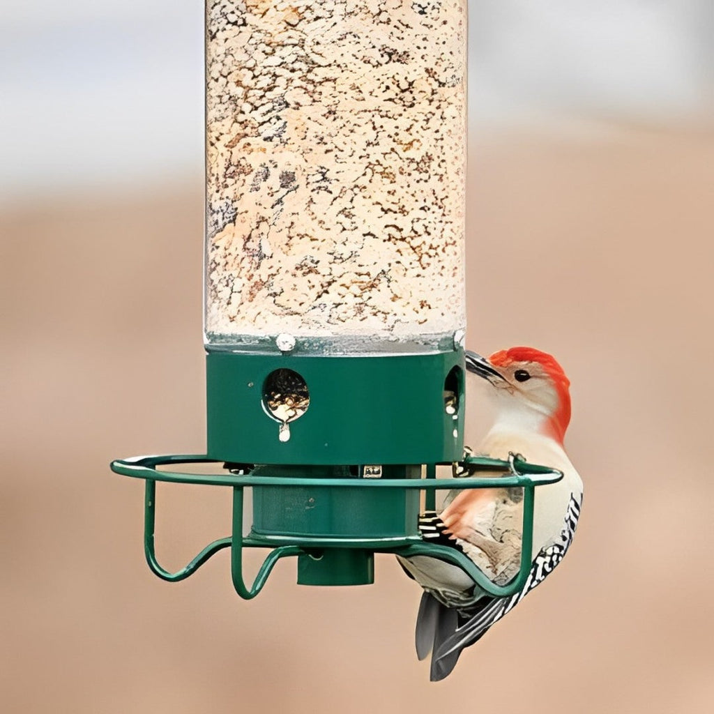 Weight-Activated Rodent Proof Bird Feeder